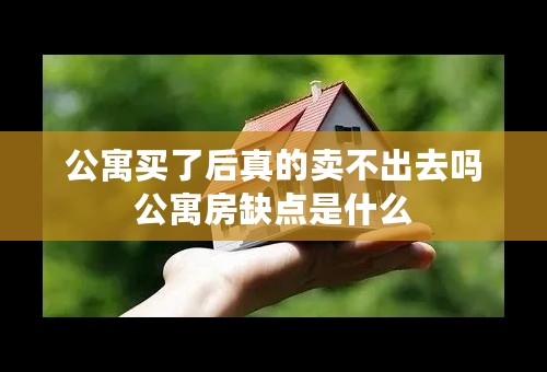 公寓买了后真的卖不出去吗公寓房缺点是什么
