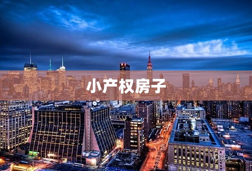 小产权房子