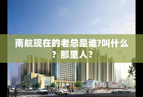 南航现在的老总是谁?叫什么？那里人？