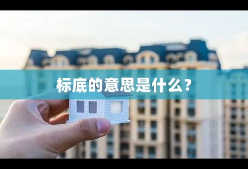 标底的意思是什么？