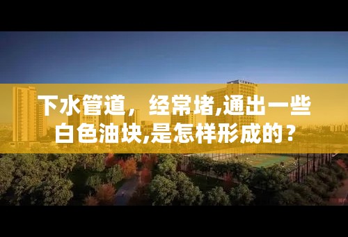 下水管道，经常堵,通出一些白色油块,是怎样形成的？