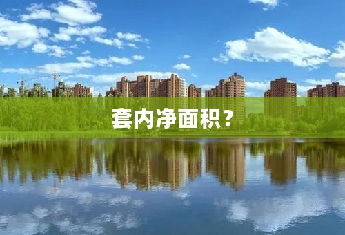 套内净面积？