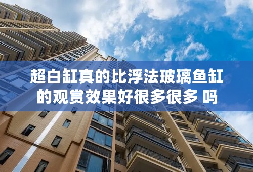 超白缸真的比浮法玻璃鱼缸的观赏效果好很多很多 吗