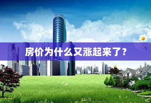 房价为什么又涨起来了？