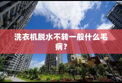 洗衣机脱水不转一般什么毛病？