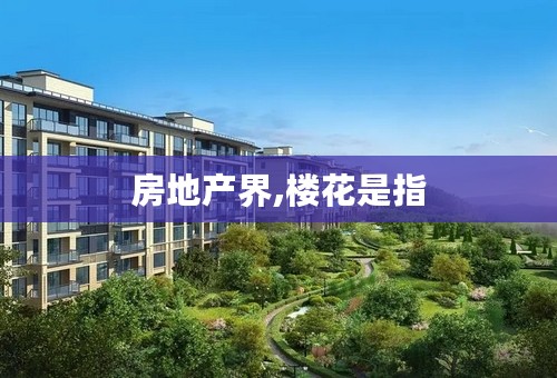 房地产界,楼花是指