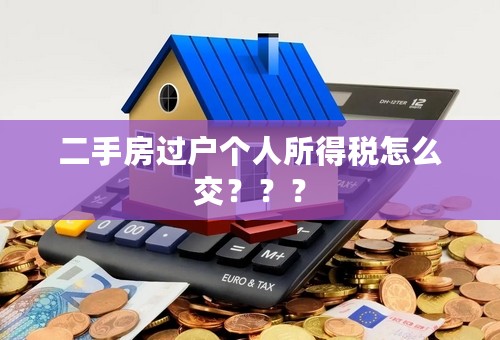 二手房过户个人所得税怎么交？？？