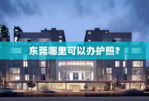 东莞哪里可以办护照？