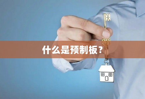 什么是预制板？