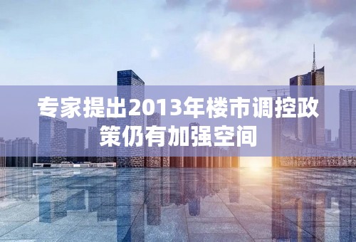 专家提出2013年楼市调控政策仍有加强空间
