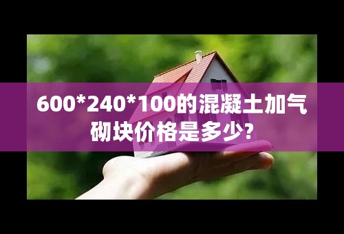 600*240*100的混凝土加气砌块价格是多少?