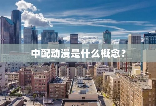 中配动漫是什么概念？