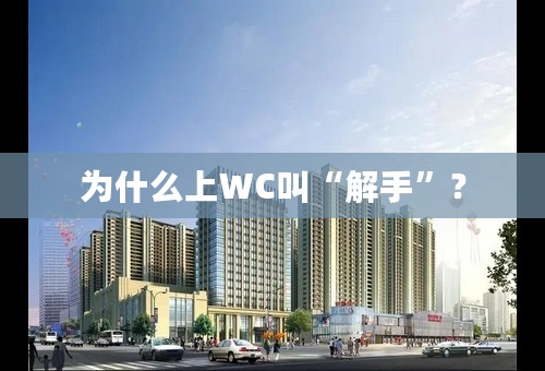 为什么上WC叫“解手”？