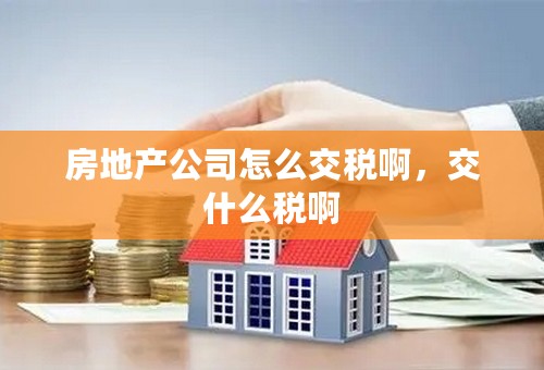 房地产公司怎么交税啊，交什么税啊