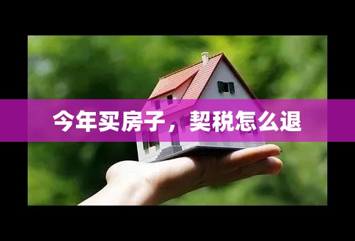 今年买房子，契税怎么退