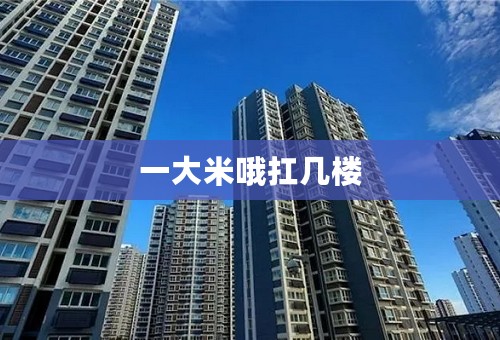 一大米哦扛几楼