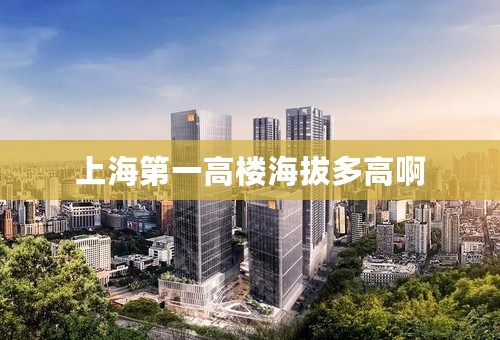 上海第一高楼海拔多高啊