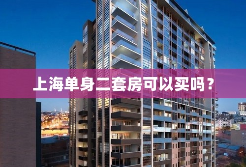 上海单身二套房可以买吗？