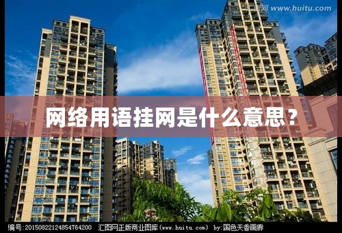 网络用语挂网是什么意思？