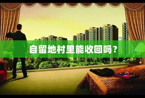 自留地村里能收回吗？