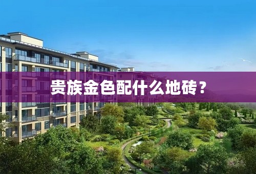 贵族金色配什么地砖？