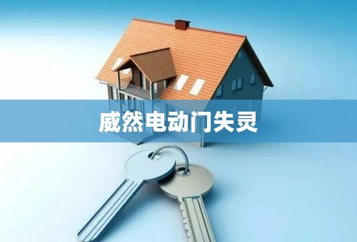 威然电动门失灵