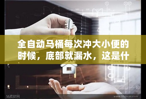 全自动马桶每次冲大小便的时候，底部就漏水，这是什么原因，怎么补救？
