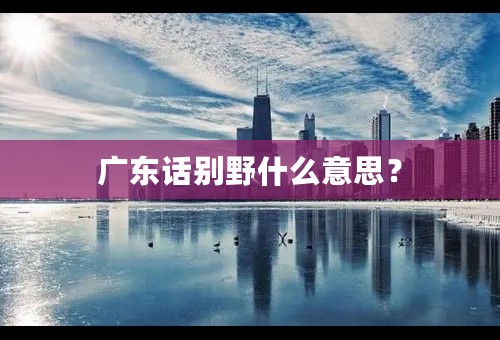 广东话别野什么意思？