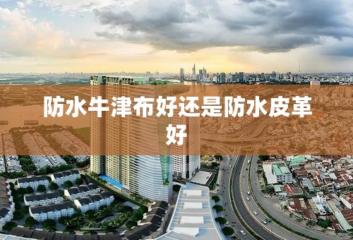 防水牛津布好还是防水皮革好
