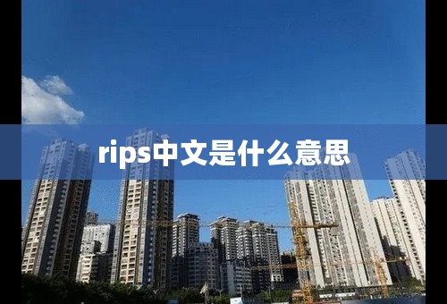 rips中文是什么意思