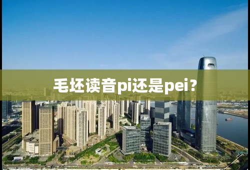 毛坯读音pi还是pei？