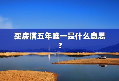 买房满五年唯一是什么意思？