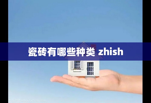 瓷砖有哪些种类 zhish