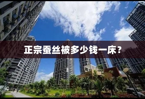 正宗蚕丝被多少钱一床？