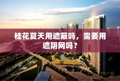 桂花夏天用遮蔽吗，需要用遮阴网吗？