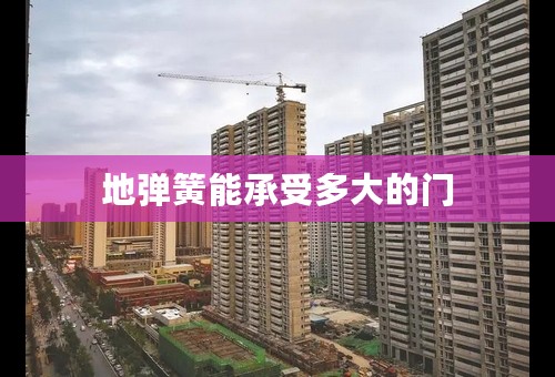 地弹簧能承受多大的门