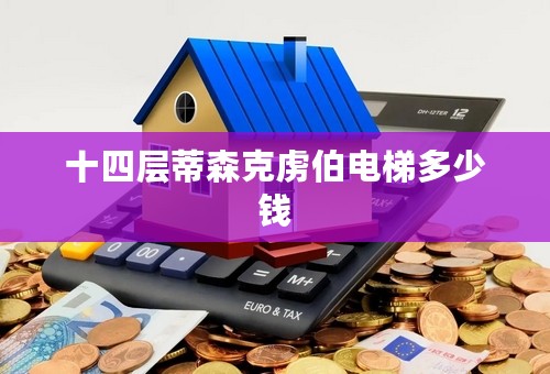 十四层蒂森克虏伯电梯多少钱