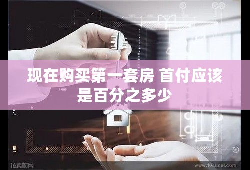 现在购买第一套房 首付应该是百分之多少