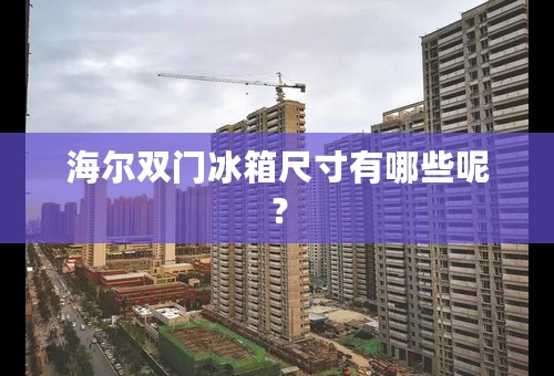 海尔双门冰箱尺寸有哪些呢？