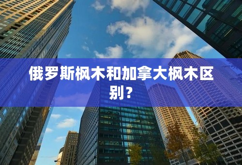 俄罗斯枫木和加拿大枫木区别？