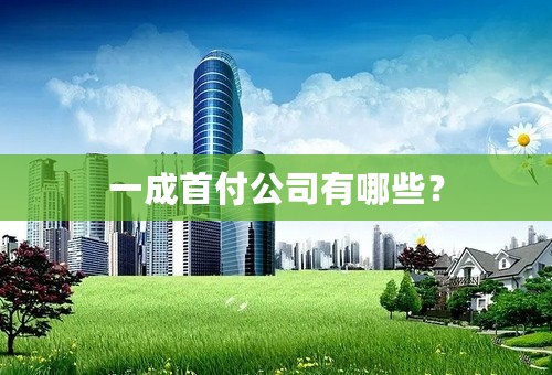 一成首付公司有哪些？