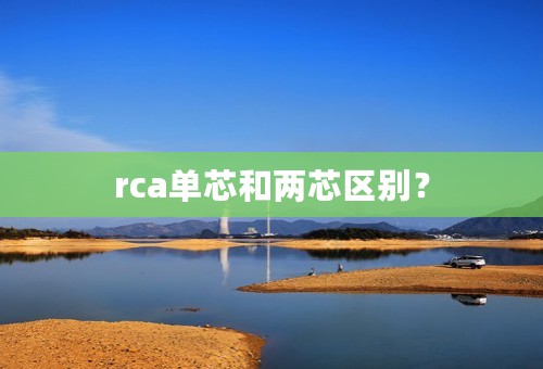 rca单芯和两芯区别？