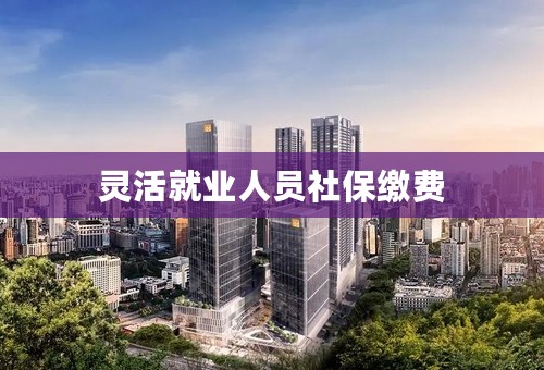 灵活就业人员社保缴费
