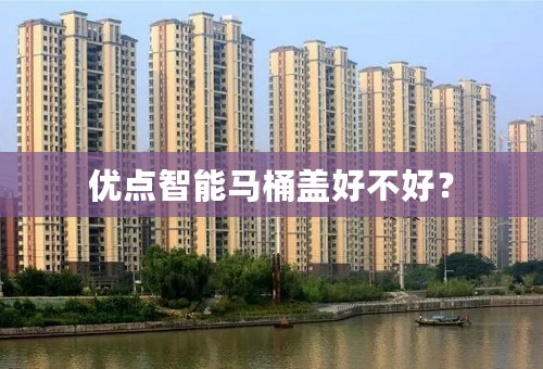 优点智能马桶盖好不好？