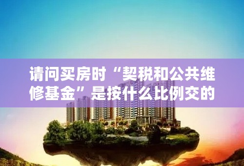 请问买房时“契税和公共维修基金”是按什么比例交的，国家有没有固定的政策规定。急！！！