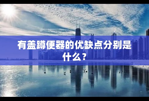 有盖蹲便器的优缺点分别是什么？