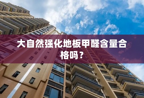 大自然强化地板甲醛含量合格吗？