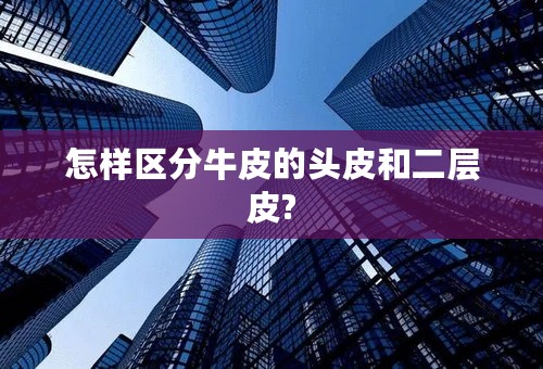 怎样区分牛皮的头皮和二层皮?