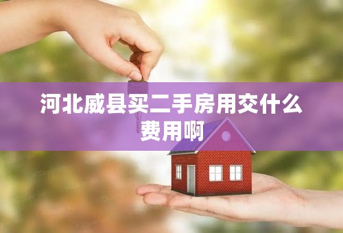 河北威县买二手房用交什么费用啊