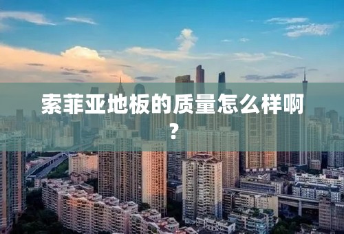 索菲亚地板的质量怎么样啊？